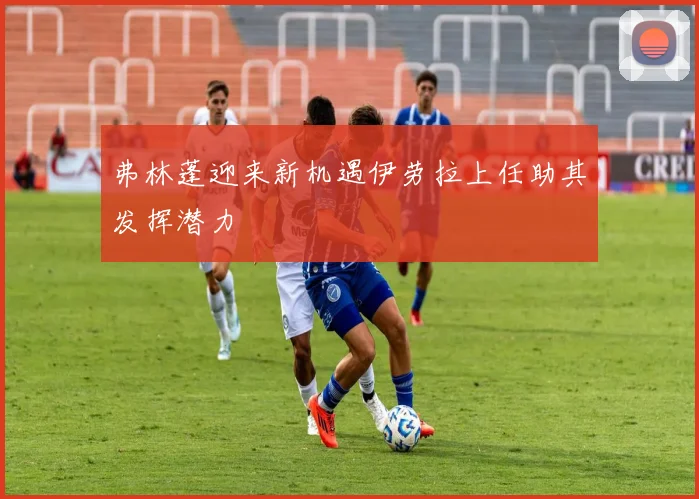 弗林蓬迎来新机遇伊劳拉上任助其发挥潜力
